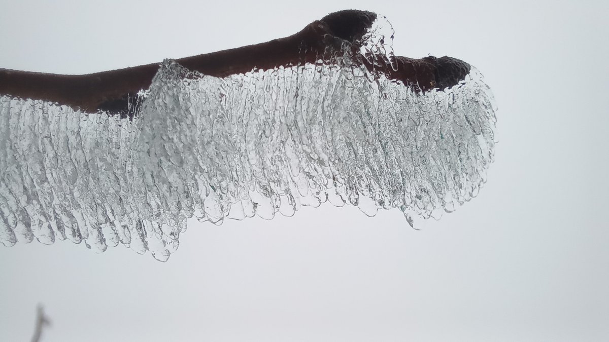 woordlicht's tweet image. 12 Dagen geleden vroor het nog. Nu komen in rap tempo de narcissen op. Voel jij het ook al kriebelen?
Download mijn gratis e-book over het opstarten van een moestuin. moestuinierenmetkinderen.nl/formpagina-e-b… #moestuintips #moestuinieren #moestuin #moestuinbeginnen #groentetuintje #bijnalente