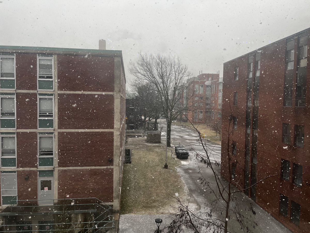 Hamilton (McMaster) #onstorm