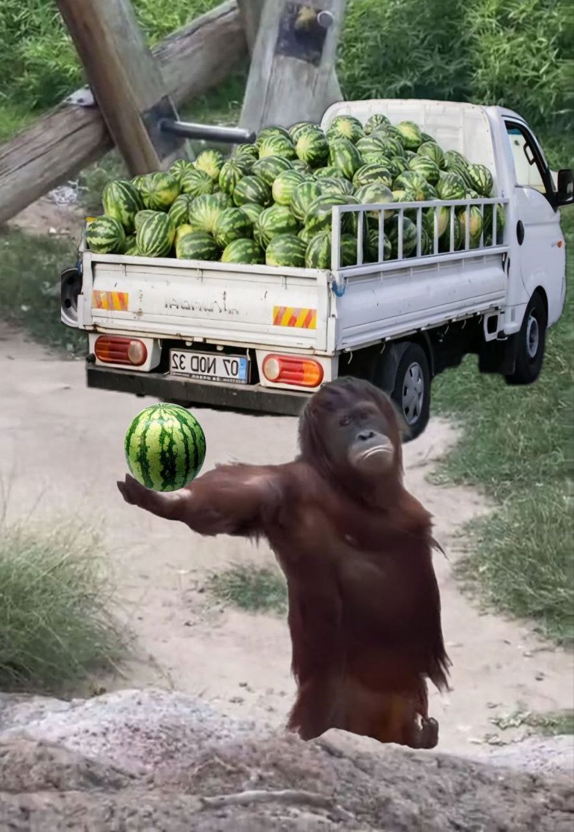 gib on Base tweet media