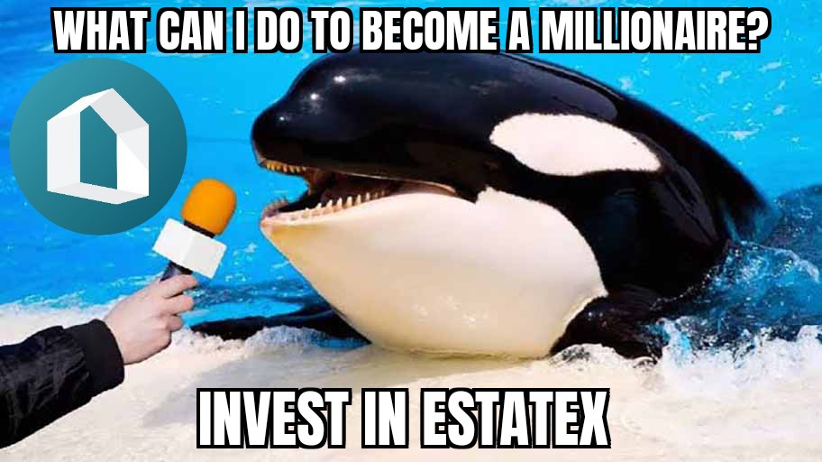 Mfonn0001's tweet image. #EstateX provides instant liquidity to real estate investors no more waiting for years to sell your property. Trade your shares anytime! 🔄🏘️ @estatexeu #ESX #PropTechRevolution