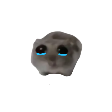sadhampoter's tweet photo. @lynk0x why would you say that
$hammy https://t.co/0nPk1SUiCA