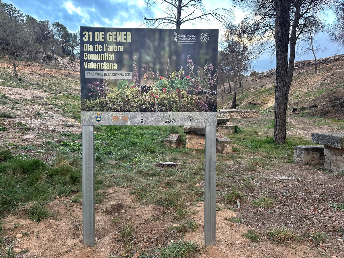 David Belda Miró tweet media