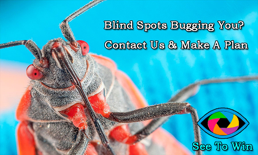 1charliecollins's tweet photo. Contact Us!
We have established key values and beliefs for leadership, proven by success within multiple companies. #blindsighted #blindspots #BSP #FYI
https://t.co/qwfarnaaFM https://t.co/Ejx0YdkfTO