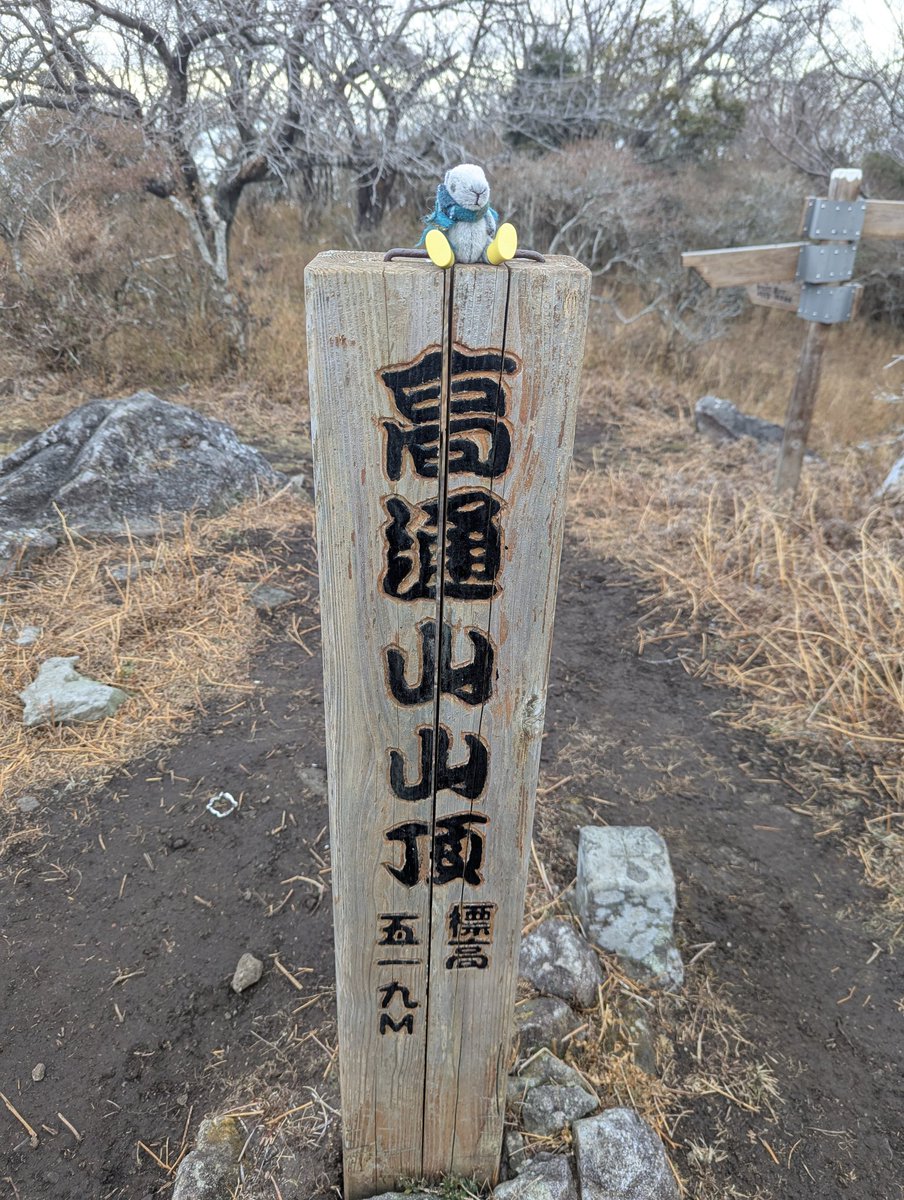 おはようございます、へえちゃんです
#南伊豆ロングトレイル 2日目は高通山からスタート
高通山は南伊豆で1番高い標高519m
高尾山が599mなので大したことないように見えますが、急登でした
山頂手前にある展望ポイントからはギリギリ富士山が顔をみせてくれました

#ロングトレイル
#高通山 
#登山
