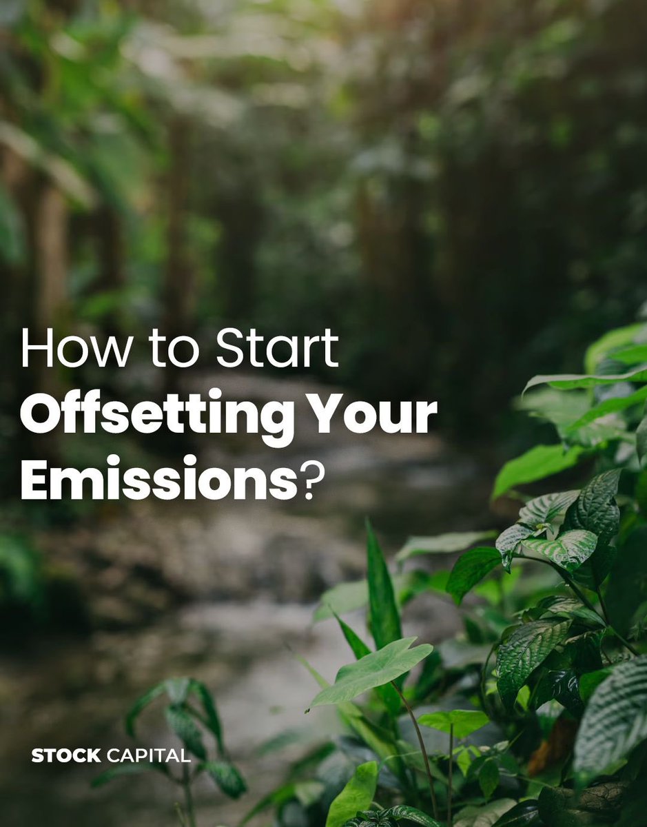 How to Start Offsetting Your Emissions?

Climate change is a challenge that affects everyone, but you can make a difference! Offsetting your carbon emissions is a crucial step toward reducing your environmental impact and contributing to a more sustainable future. Not sure where