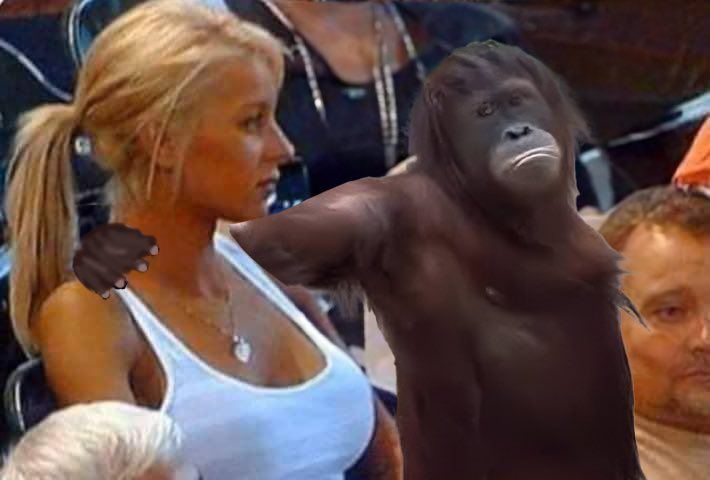 gib on Base tweet media