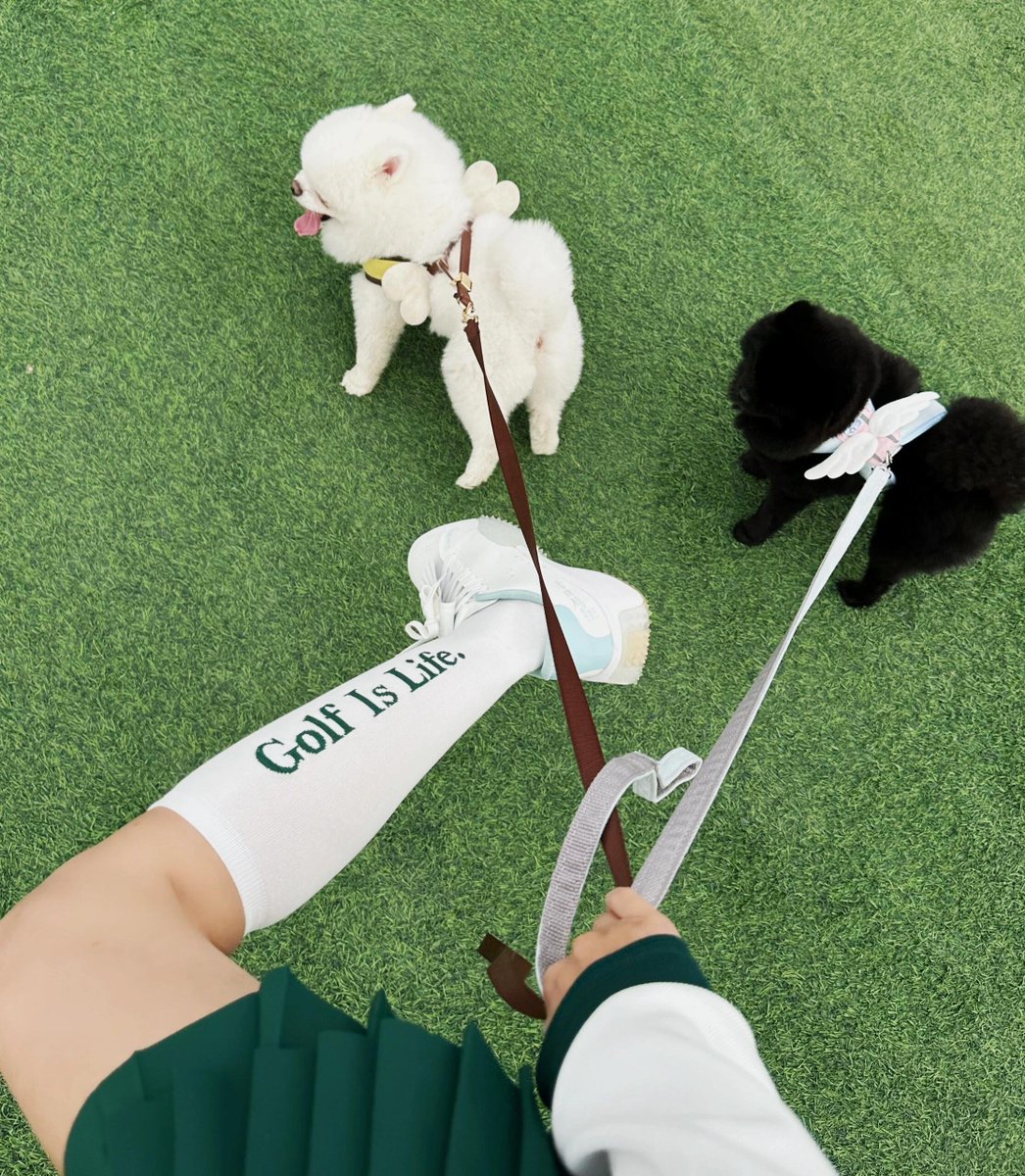 AntVoGTR's tweet image. 🌅 Sunrise, Swing, and Serenity ⛳
There's nothing like an early morning round—the crisp air, the golden sun, and the quiet focus. Step onto the course and find your peace! 🏞️✨ #MorningGolf #GolfEscape #SwingInStyle