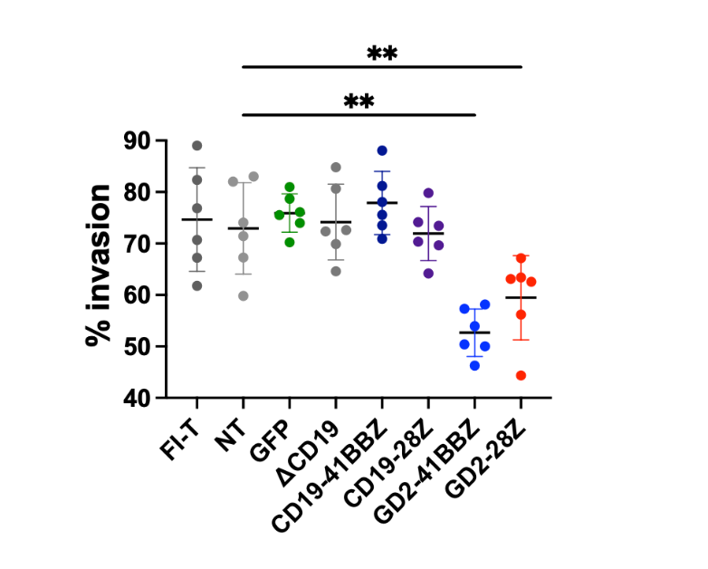 Thrilled to share my paper, Tunneling CARs, is now out on biorxiv! CAR T therapy has been ineffective against bulky tumors, in part because of the low infiltration of T cells. Here we show that GD2.CAR T cells are uniquely infiltration-resistant.