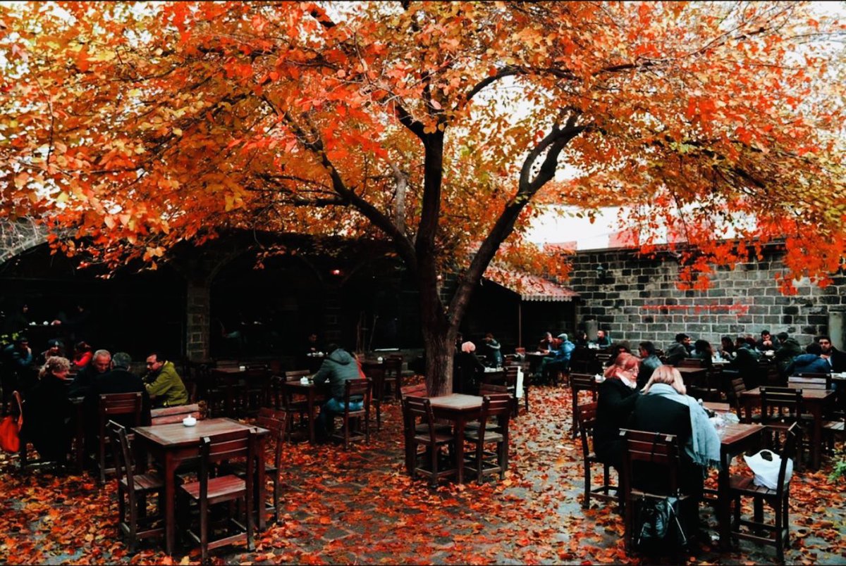 Sen nelere kadirsin #Diyarbakır