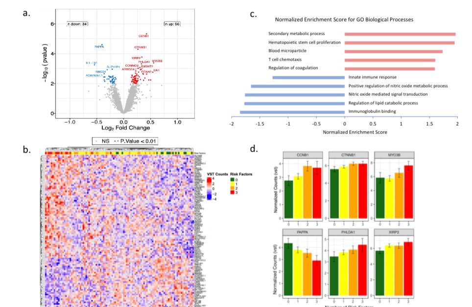 Out now! We found that greater 🔥 cardiometabolic comorbidity burden (obesity, diabetes, hyperlipidemia) is asstd with🩸increased platelet size and immaturity and dysregulated pathways 📊related to metabolism and immaturity. 

tandfonline.com/doi/epdf/10.10…