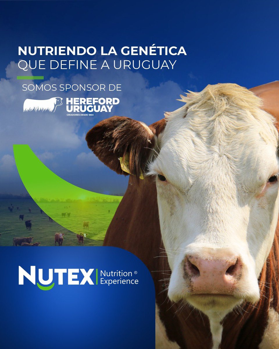 nutex_uruguay's tweet photo. Nutriendo la genética que define a Uruguay 💪
Desde hace más de un siglo, Hereford ha sido un pilar de la ganadería uruguaya. En Nutex, acompañamos su evolución
#HerefordUruguay #GenéticaDeExcelencia #NutriciónDePrecisión #GanaderíaUruguaya #Nutex
@hereforduy https://t.co/DudI22N4lm