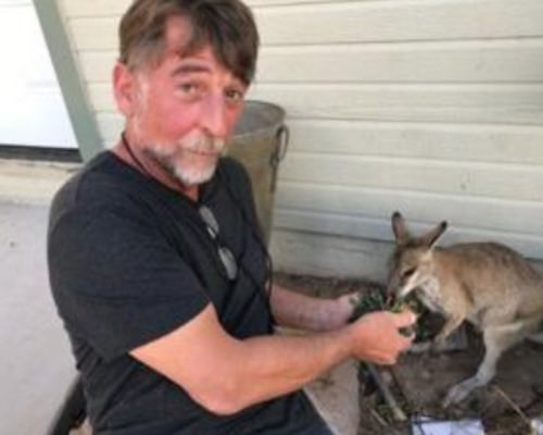 Briana Whitney tweet media