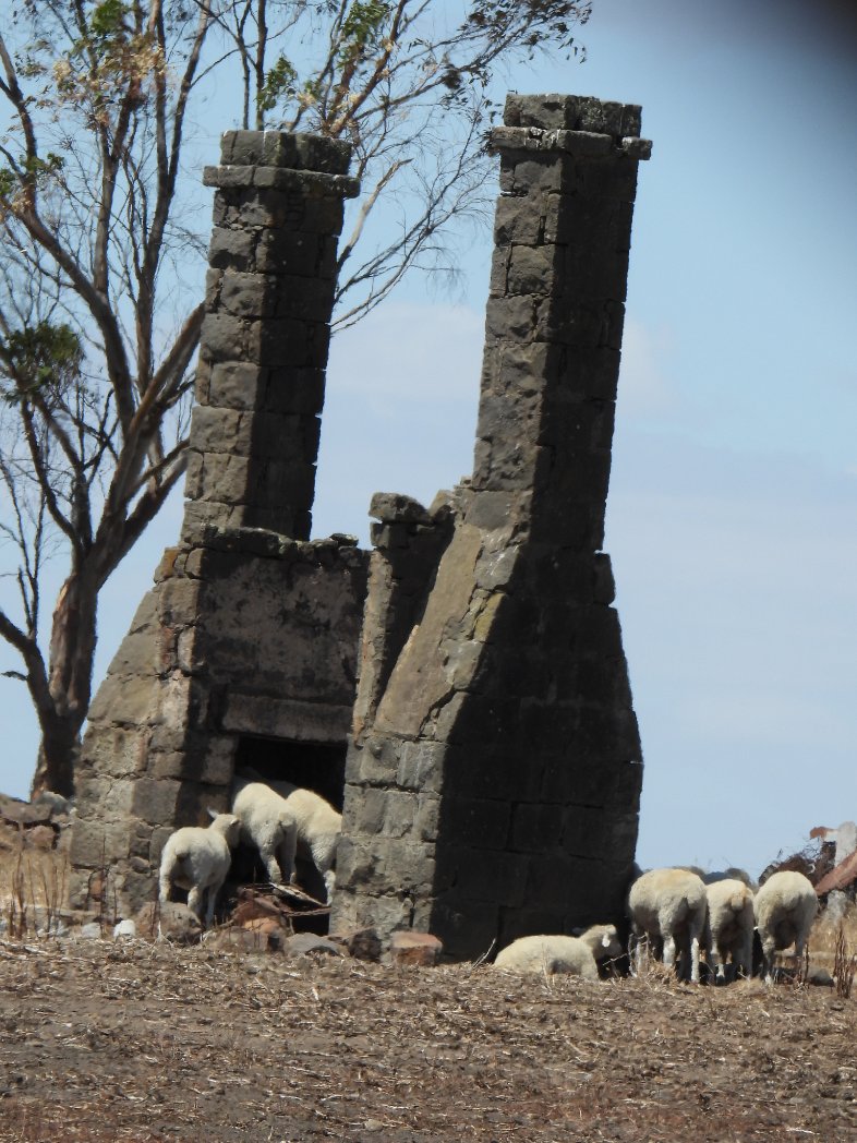 Agvocate_Au tweet media