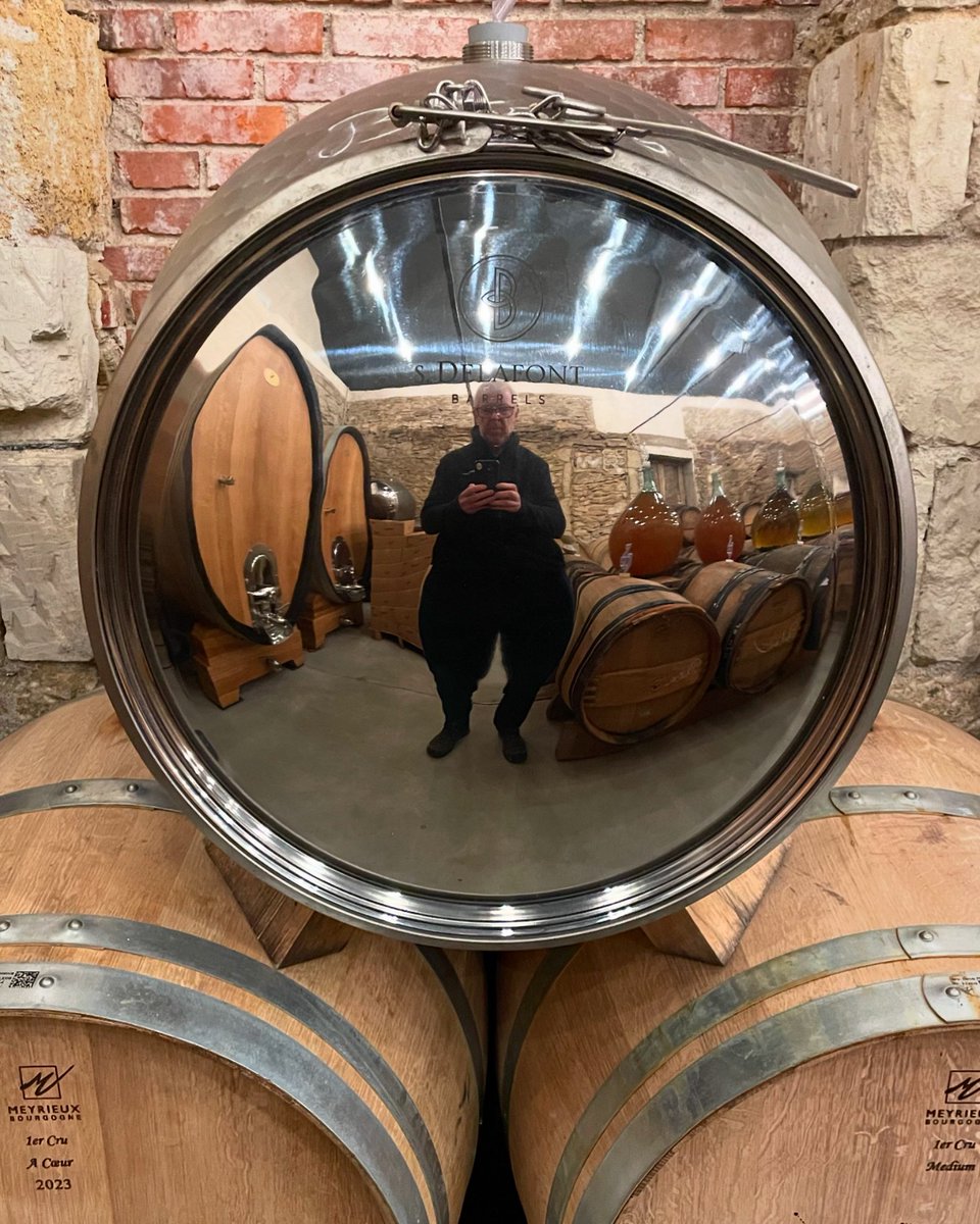 chriswinedoctor's tweet image. Self portrait, reflected in the end of a stainless steel barrel.

And no, my legs aren’t actually that shape.

#barrel #wine #anjou #reflections
