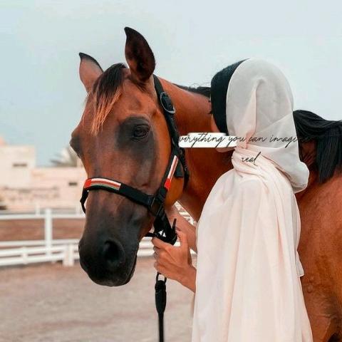 *يا ربّ شخصًا صادقًا لا يهمه إلا أمر قلبي ،* 
 *شخصًا لا يؤذيني أبداً* .