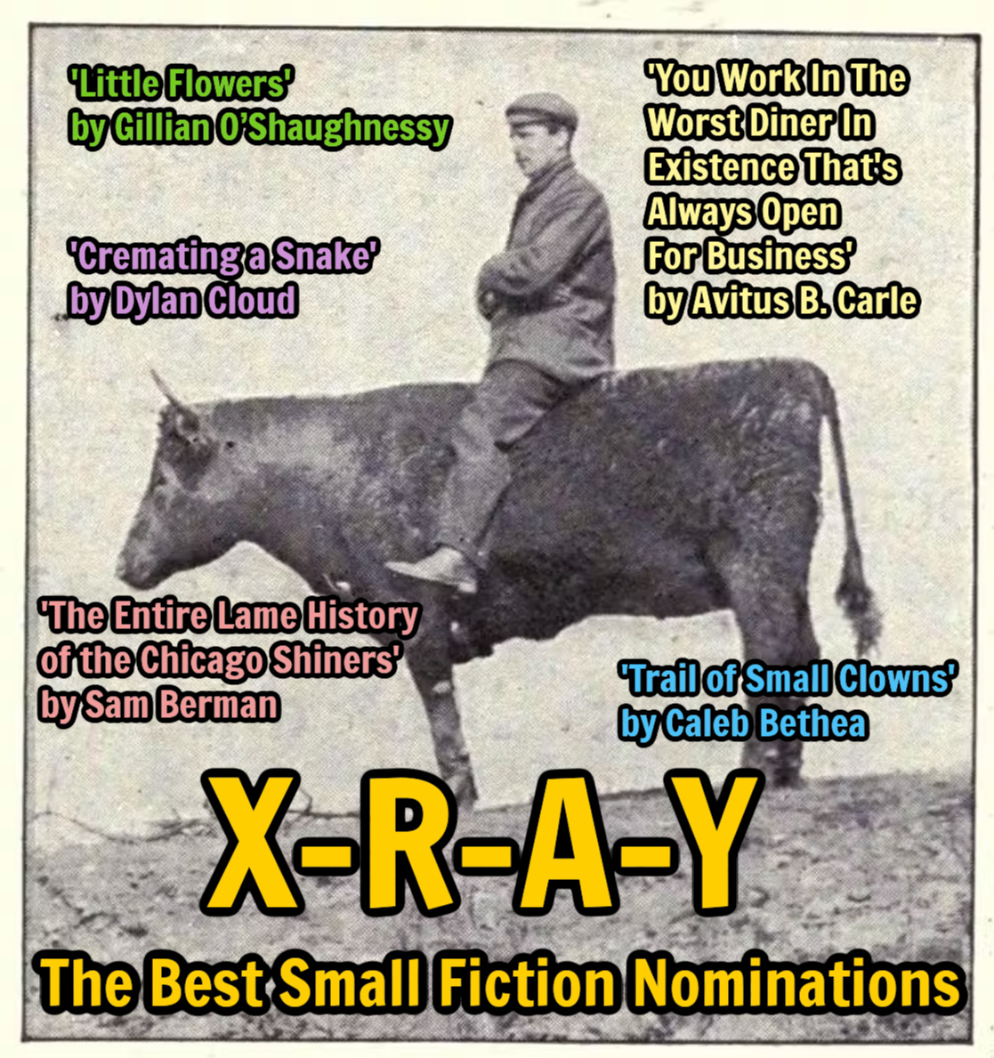 X-R-A-Y (@xraylitmag) on Twitter photo best small fictions nominations !! these are stories we published last year, all under 1,000 words
shouts out & big thanks to <a href="/GillOshaughness/">Gillian OShaughnessy</a>, <a href="/Taylorbabe411/">Sammy Berman</a>, <a href="/caleb_bethea_/">Caleb Bethea (they/them)</a>, <a href="/avitusbcarle/">Avitus B. Carle (she/her)</a>, & Dylan Cloud ! best small fictions nominations !! these are stories we published last year, all under 1,000 words
shouts out & big thanks to <a href="/GillOshaughness/">Gillian OShaughnessy</a>, <a href="/Taylorbabe411/">Sammy Berman</a>, <a href="/caleb_bethea_/">Caleb Bethea (they/them)</a>, <a href="/avitusbcarle/">Avitus B. Carle (she/her)</a>, & Dylan Cloud !