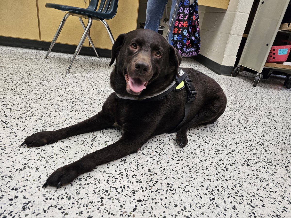 Kempsville Meadows (@kempsmeadowses) on Twitter photo Kempsville Meadows is so thankful for the Listening Ears Program through the Virginia Beach SPCA <a href="/vbspca/">Virginia Beach SPCA</a> Every week students get to read to sweet Oakley and it is such a PAWsitive experience! <a href="/crmarkert23/">Christa MARKERT</a> <a href="/DavidSchleck/">David Schleck</a> <a href="/vbschools/">VBSchools</a> <a href="/VBBookworm/">Lauren Lester</a> Kempsville Meadows is so thankful for the Listening Ears Program through the Virginia Beach SPCA <a href="/vbspca/">Virginia Beach SPCA</a> Every week students get to read to sweet Oakley and it is such a PAWsitive experience! <a href="/crmarkert23/">Christa MARKERT</a> <a href="/DavidSchleck/">David Schleck</a> <a href="/vbschools/">VBSchools</a> <a href="/VBBookworm/">Lauren Lester</a>
