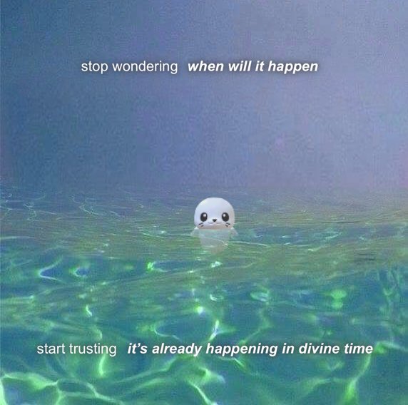 𝔯𝔢𝔱𝔞𝔯𝔣 (@retarfbbs) on Twitter photo 