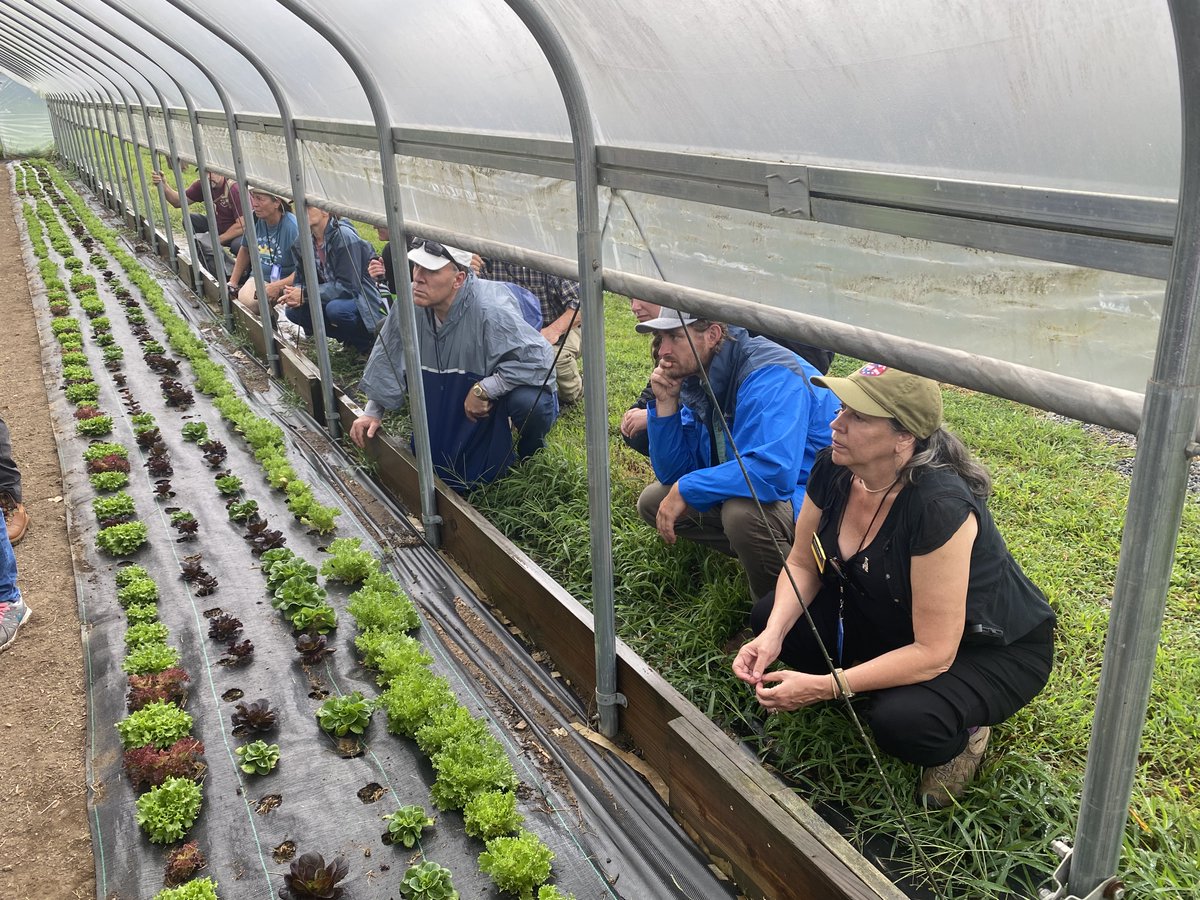 FarmAnswers's tweet image. GoFarm Hawai'i, Providence Farm Collective, and Frontline to Farm's beginning farmer programming was developed with funding through their USDA-NIFA BFRDP Project. 

Learn more on the Farm Answers podcast at farmanswers.captivate.fm.