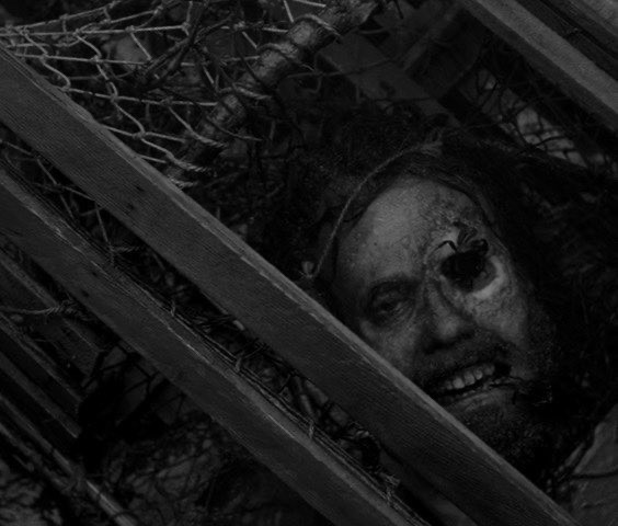 TheCinesthetic's tweet image. The Lighthouse (2019) dir. Robert Eggers