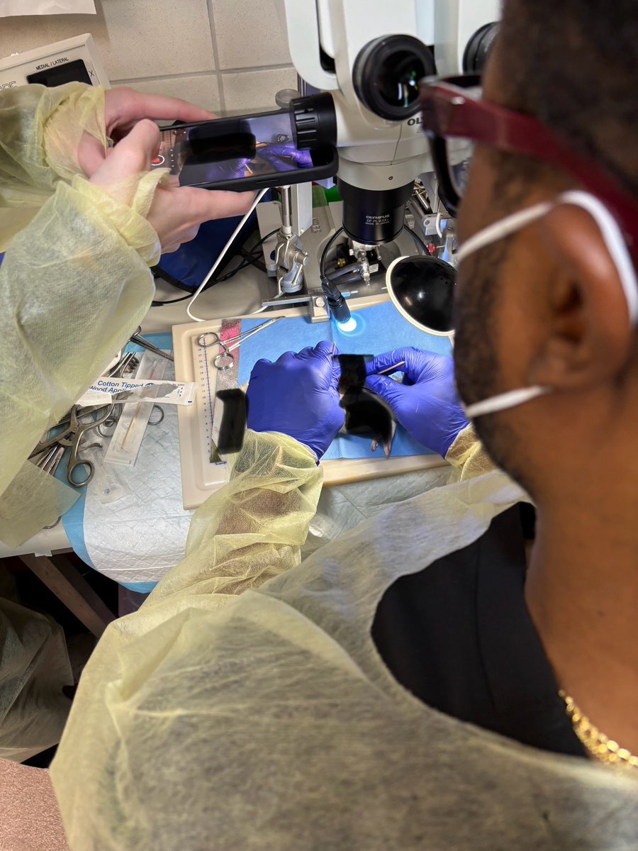 One day operating room, another day laboratory. One day fusing spines and resecting tumors, another day performing surgeries on rats. So much variability in the life of a Neurosurgeon-Scientist #SpineOncology #SpineOncologyLaboratory #Neurosurgery