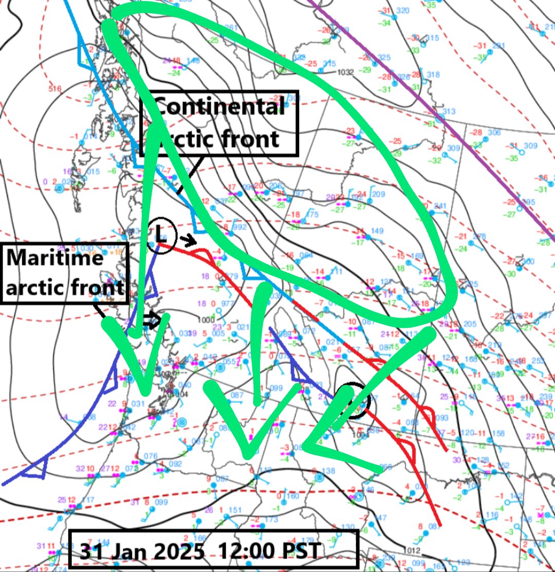 WestSeattleWx tweet media