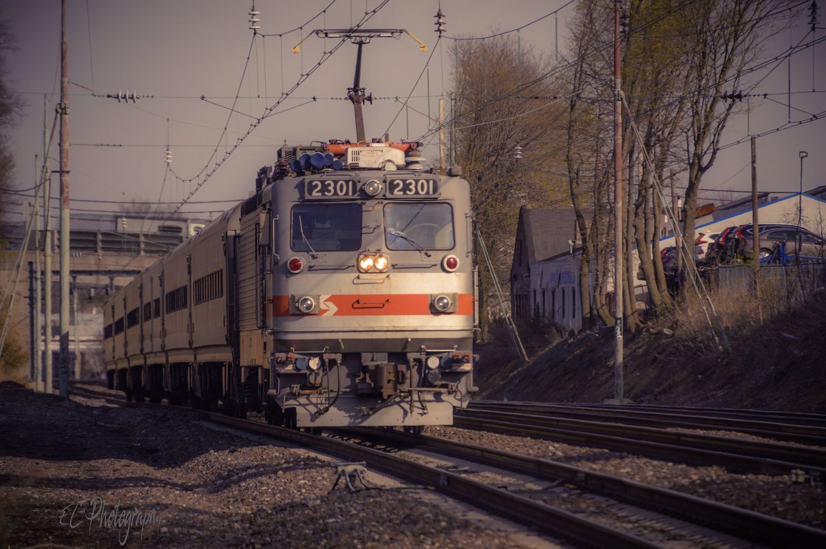 Chris 🦝 tweet media