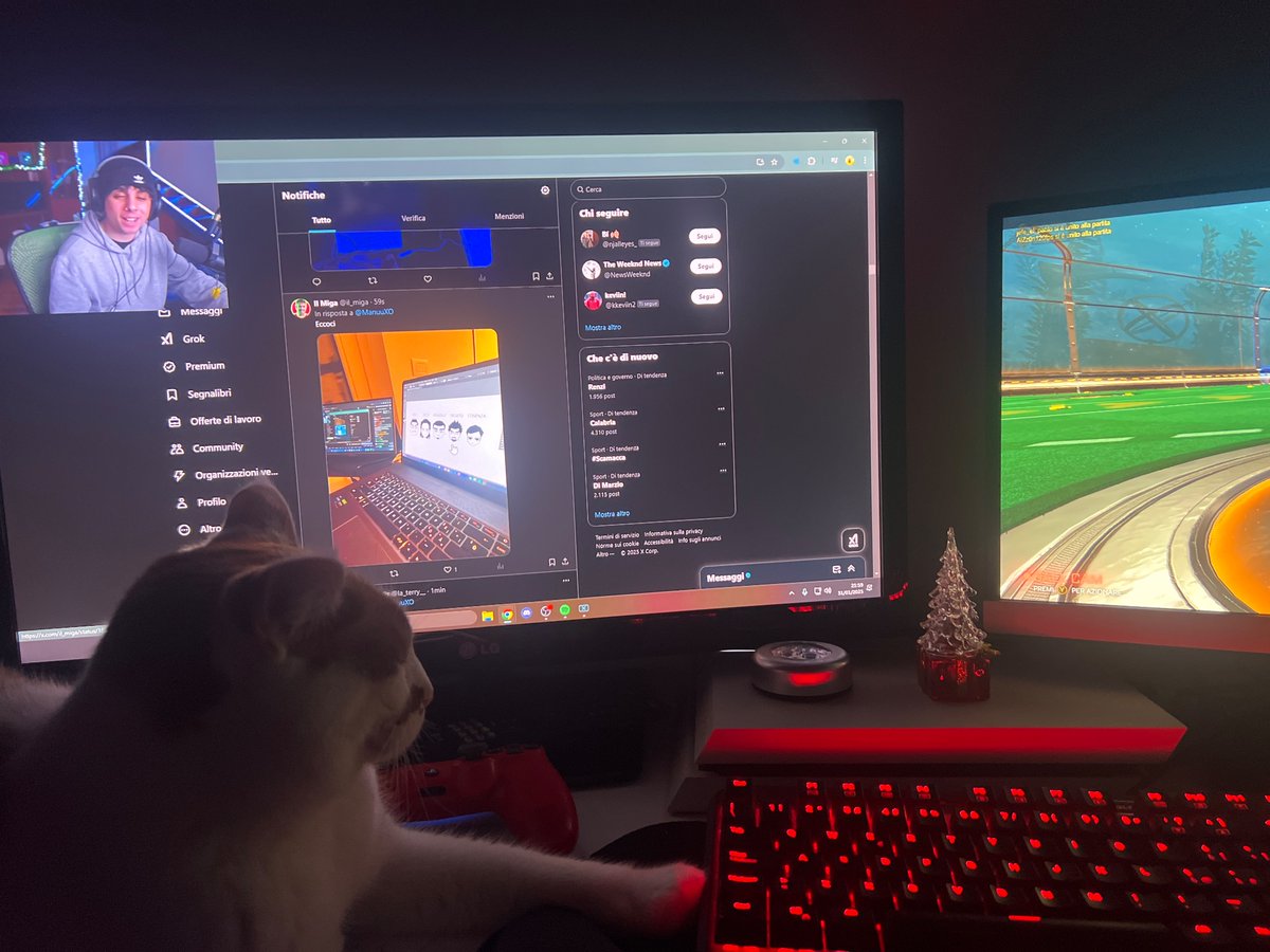 not alessio tweet media