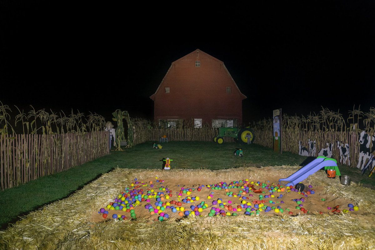 Photos I took at the pumpkin patch