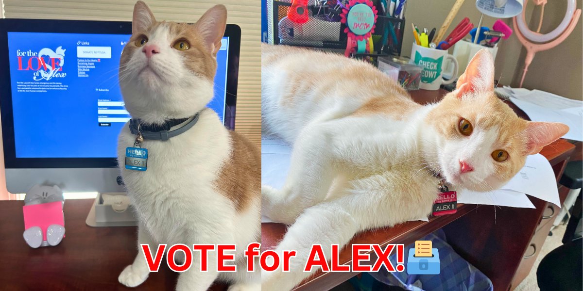 ForTheLoveAlex's tweet photo. LAST DAY TO VOTE FOR ALEX TO MOVE ON TO THE NEXT ROUND! π³
Will you help us secure a grant to help more pets in need? If you haven't cast your vote this week, please VOTE here for FREE: https://t.co/z1uixrIrKR
#fortheloveofalex #givingcircle #grants #help #cat #dog #vote #VoteNow https://t.co/ho8Gx6xGuh