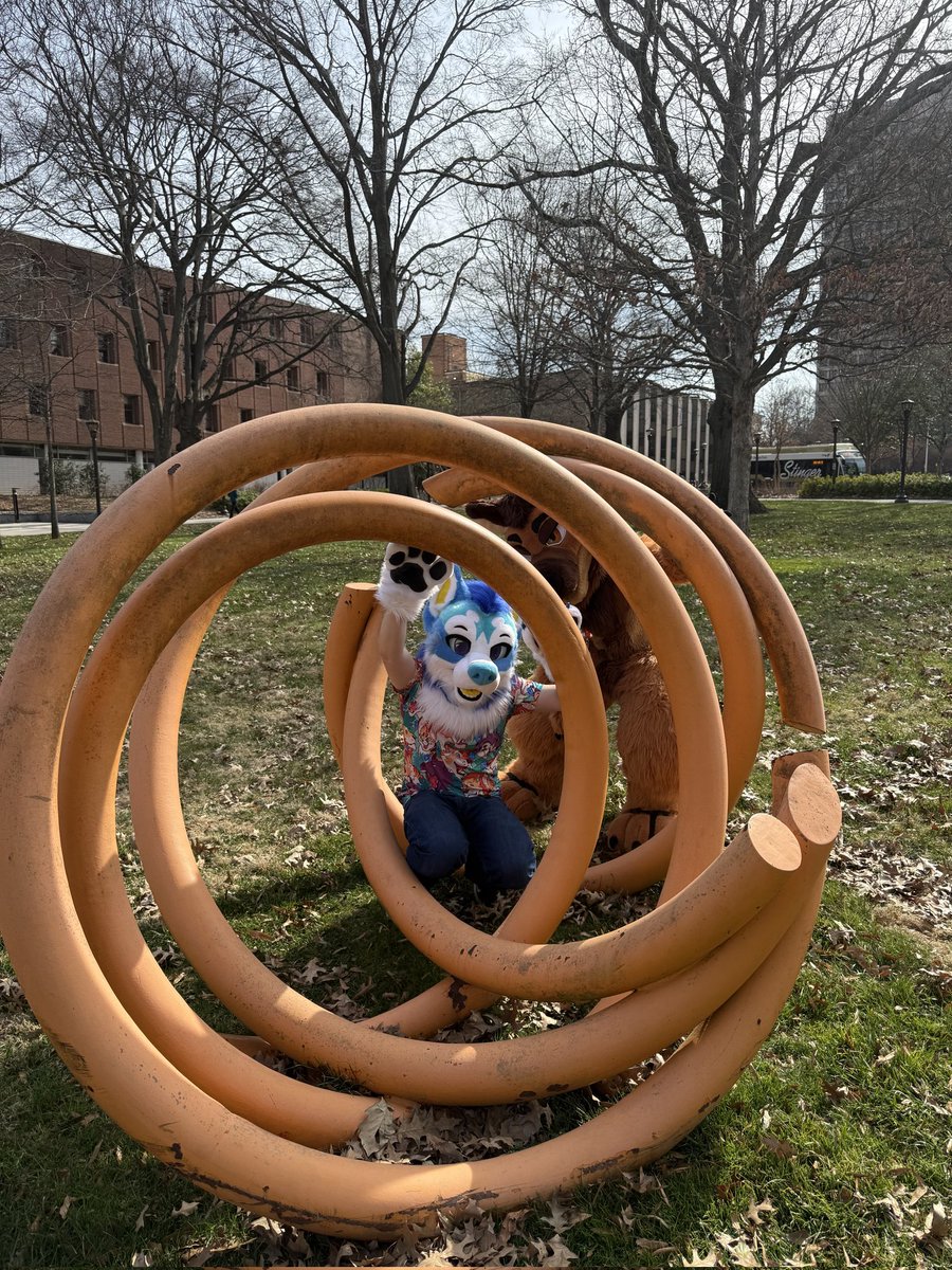 Happy #FursuitFriday with <a href="/Trip_Shep/">Trip</a> at Georgia tech!