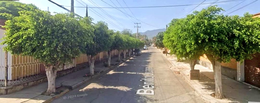 PeatonVigilante's tweet photo. Tala de árboles en Oaxaca según norma ambiental 😡 

Las olas de calor 🥵 vienen con todo y vecinos deciden acabar así las pocas áreas verdes en la ciudad.

Agencia Municipal de Dolores. https://t.co/AhY3gBMpCP