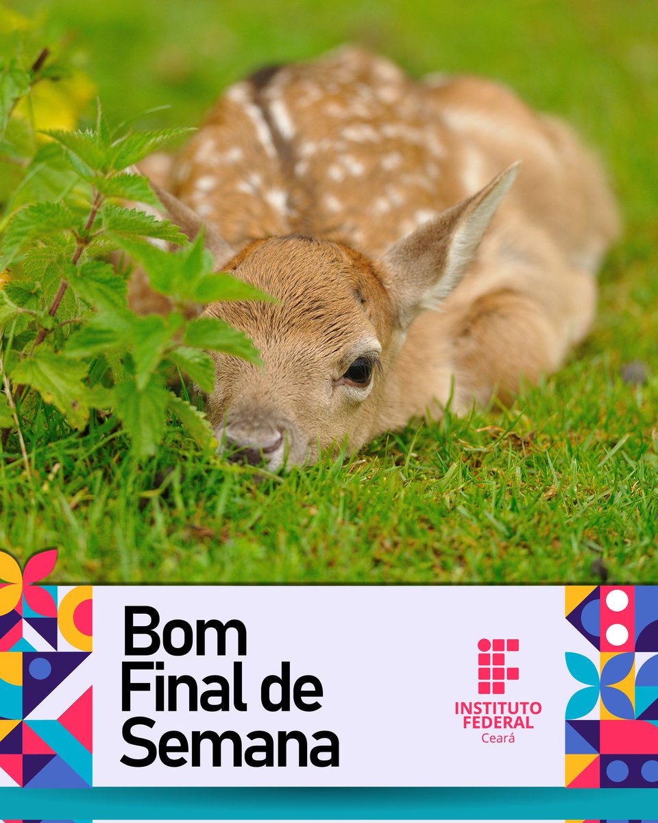 ifceoficial's tweet photo. Desejamos a todos(as) um #bomfds ❤️ https://t.co/DeYXSKAGrZ