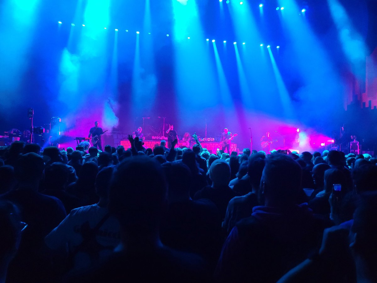 Sam Kirwan 🏴 tweet media