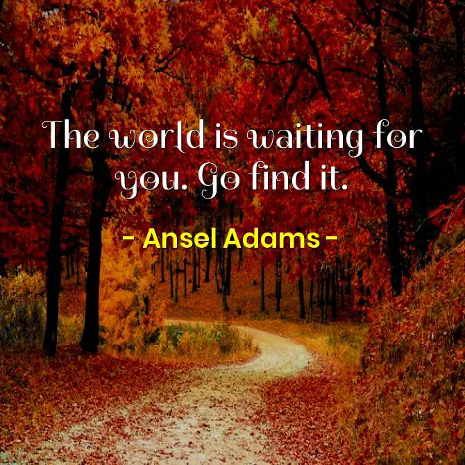 LivingtheRVLif1's tweet image. ✨ "The world is waiting for you. Go find it." 🌟 - Ansel Adams 🚐 Adventure is calling, #FullTimeRVers!