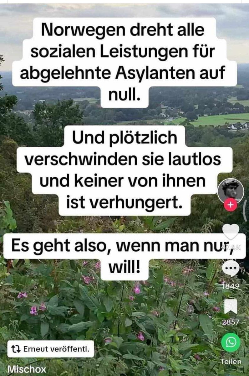 Top. Nick (@topnick238129) on Twitter photo 