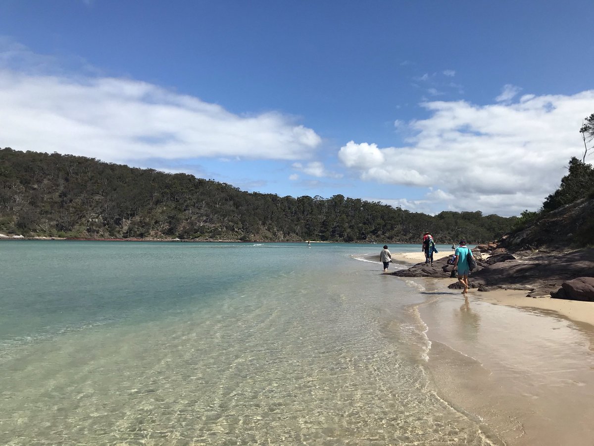 See you in my dreams 🌟