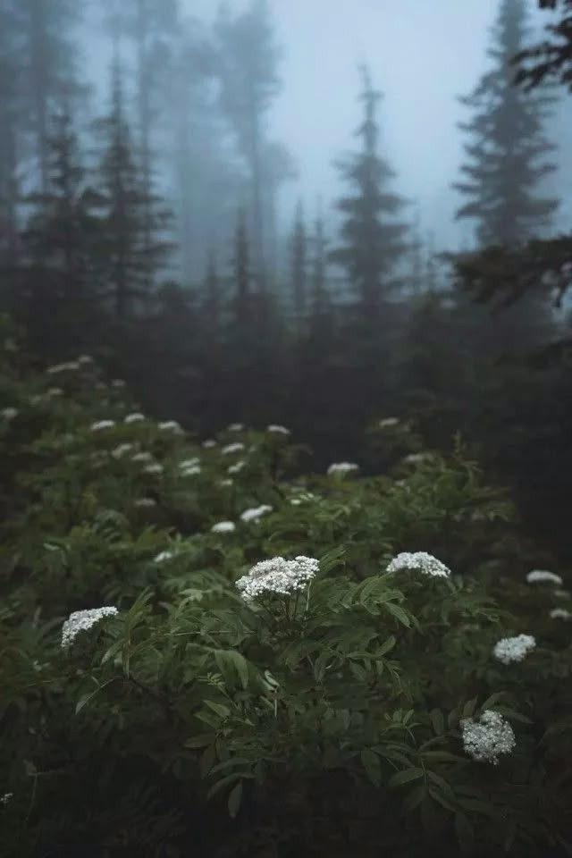 elemmiressoul tweet picture