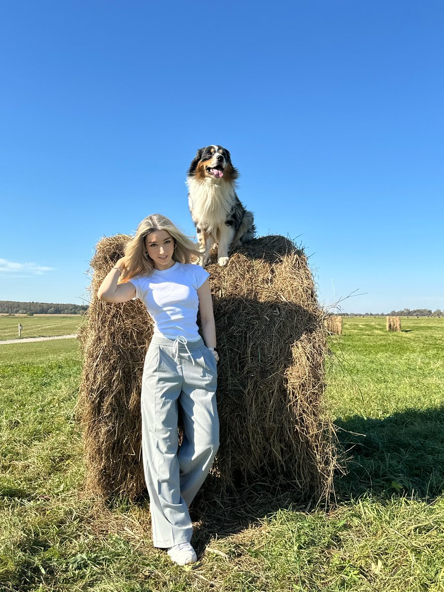 Усянь подбирает еду и приносит мне, дабы испросить разрешения на сожрать. Без одобрения не съест НИКОГДА. Гнилую рыбу носил, падалицу, кости, но пик восторга был, когда он аккуратно принес с кухни стаканчик кофе в зубах и прям ПОСМОТРЕЛ. Прям с надеждой. Мой пэсдюк, конечно ☕️