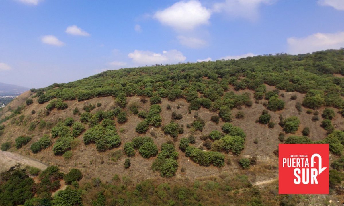 El Gobernador <a href="/PabloLemusN/">Pablo Lemus Navarro</a> leyó nuestra inconformidad e instruyó a <a href="/SemadetJal/">SEMADET Jalisco</a> reactivar la consulta pública para que el Cerro del Tajo se convierta en ANP. Celebramos con mucha ilusión este enorme avance. Estamos contentos pero seguiremos firmes hasta lograrlo.