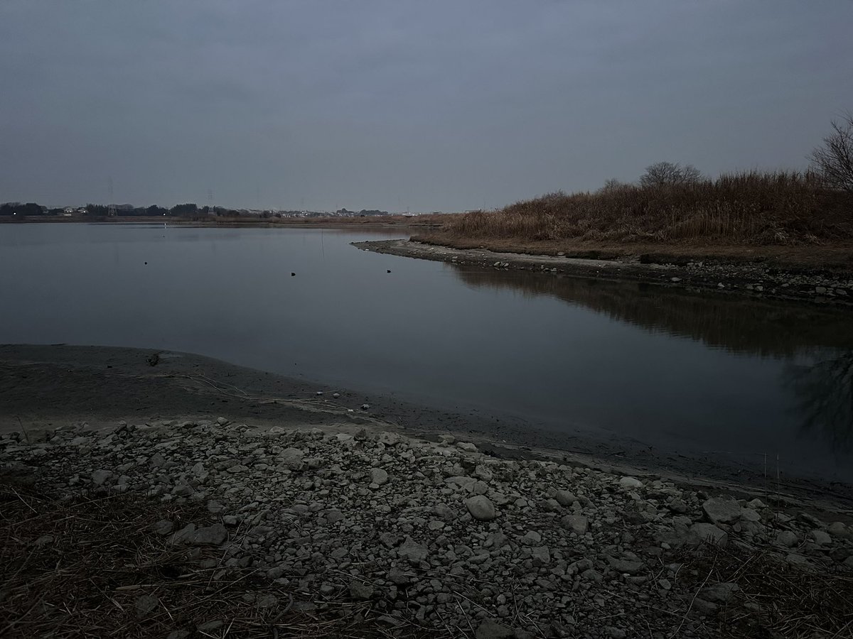 おはようございます
もともと浅いのに普段から1m減水
　1月はアタリ無し　2月は⁉️
出勤前に1時間だけ