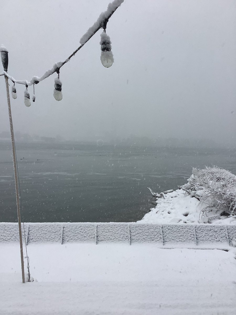Markham_Matt3's tweet photo. Very heavy snow in Port Huron, looking out the window towards Sarnia, Ont. Non-pavement has 2+ inches and climbing. Roads are a mess. Pretty snow, at least. @NWSDetroit @GrossWeather @Local4News #TrainedWeatherSpotter https://t.co/cDYn6q8X3U
