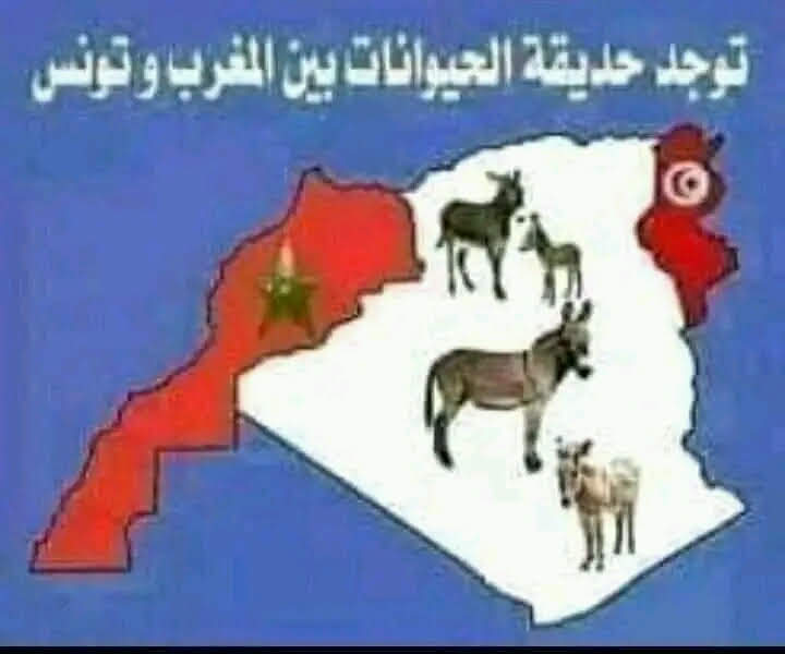 abbadiscorpion's tweet photo. @willis_9999 الله يرحم من قالها🇲🇦💪 https://t.co/9nXIzCEIhW