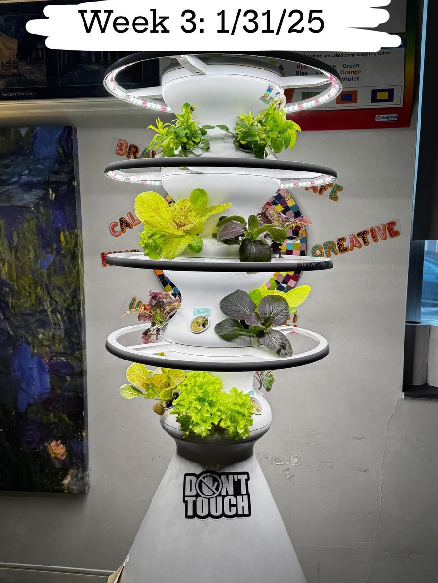 HancockMayfield's tweet photo. Check out the growth of our hydroponics garden in just a few weeks!!! #TeamHancock #SynergyRocks #ElementarySTEM https://t.co/7JIIVPS1DD