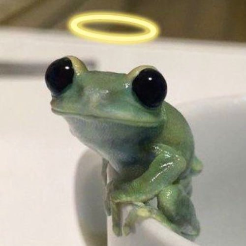 Anyone seen my pet frog? His name is Carl.

6Dy87iUcUZWJwbqoh6Y79i7YFh1rSEcBctX4pLcxpump
