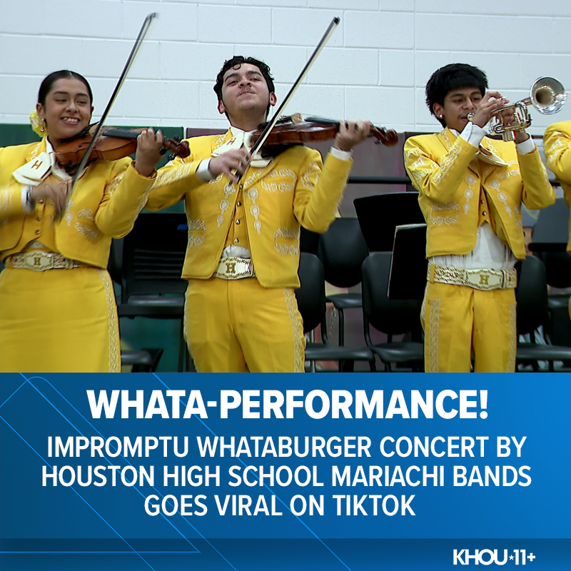 It was a happy accident and spontaneous moment that’s making the rounds on social media. <a href="/s/">『S』</a>