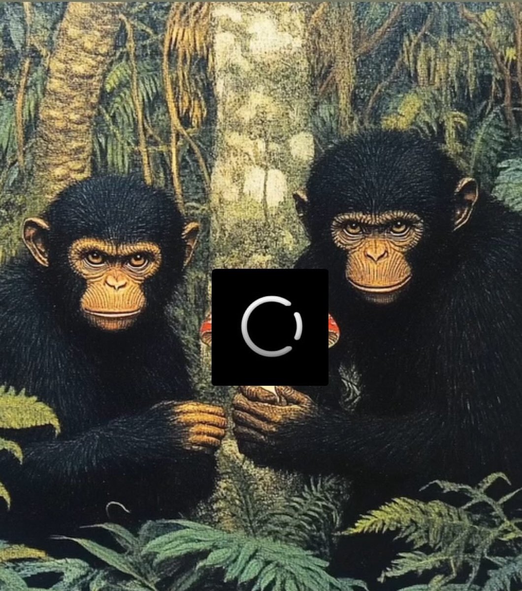 talktomydelts's tweet image. ⏰