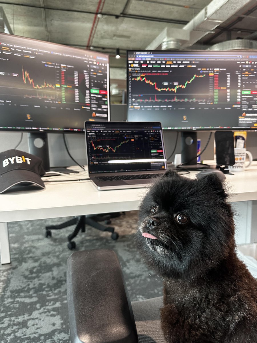 King of the charts locking in 📈 📊 

#Bydog #TheCryptoArk