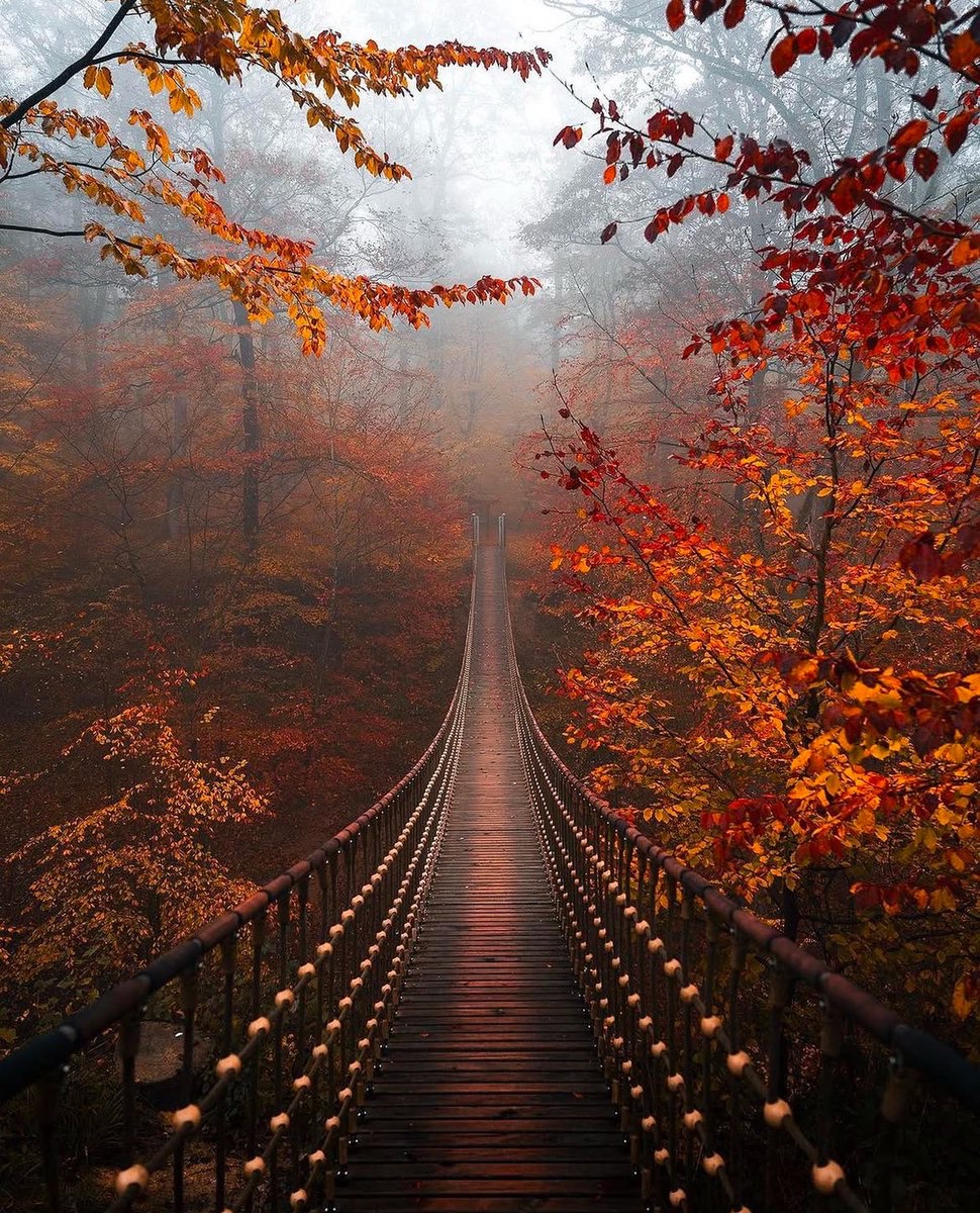 earthcurated's tweet photo. — passage 🍂 https://t.co/yNEv92RSV2