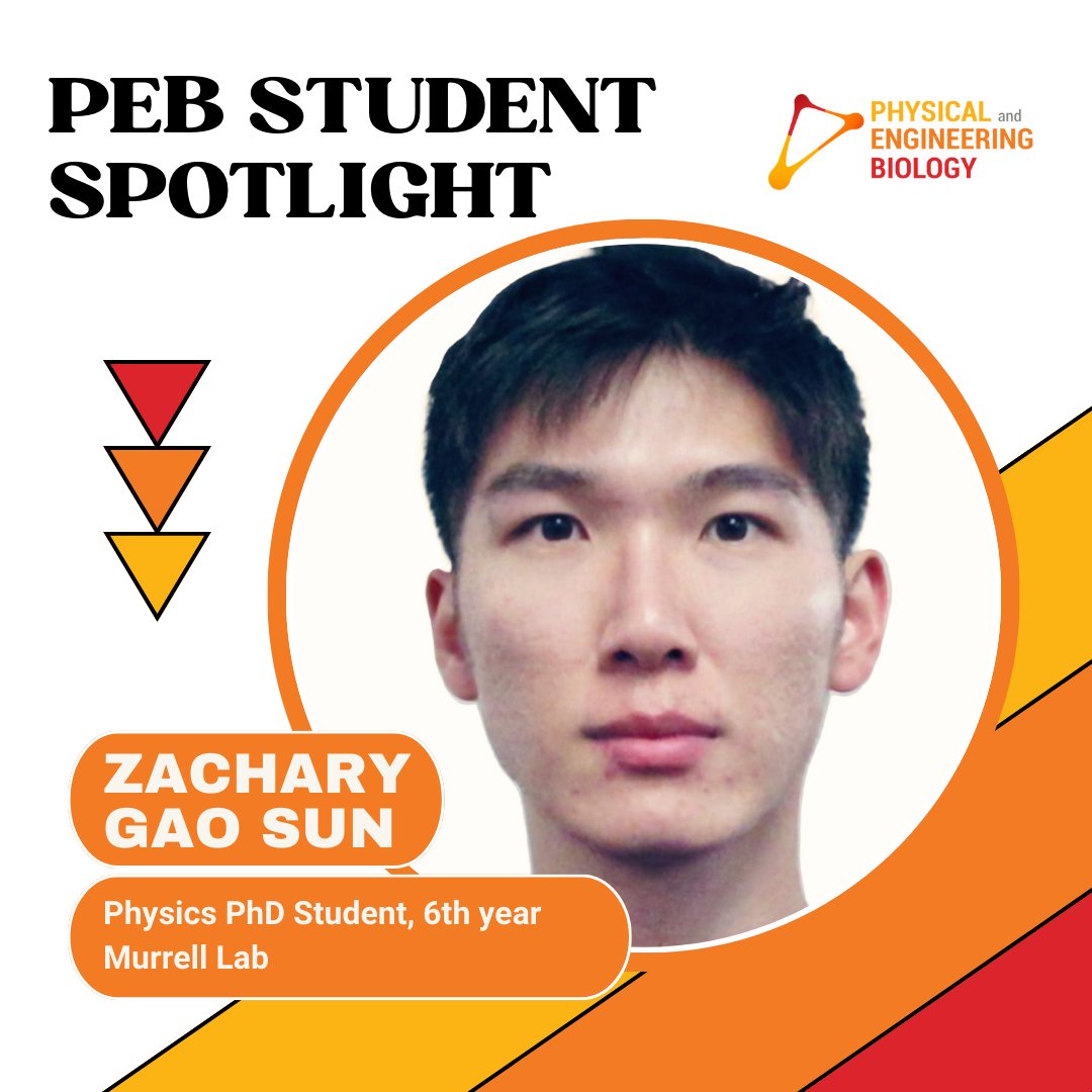 For our second PEB Spotlight, we're excited to introduce Zachary! <a href="/SunGaoZachary/">Zachary Gao Sun</a> is a 6th year physics PhD student in the <a href="/murrell_lab/">Murrell Lab</a> at the Yale Systems Biology Institute 🧪